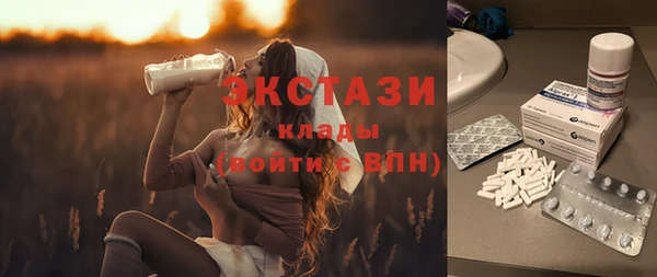 гашик Пересвет